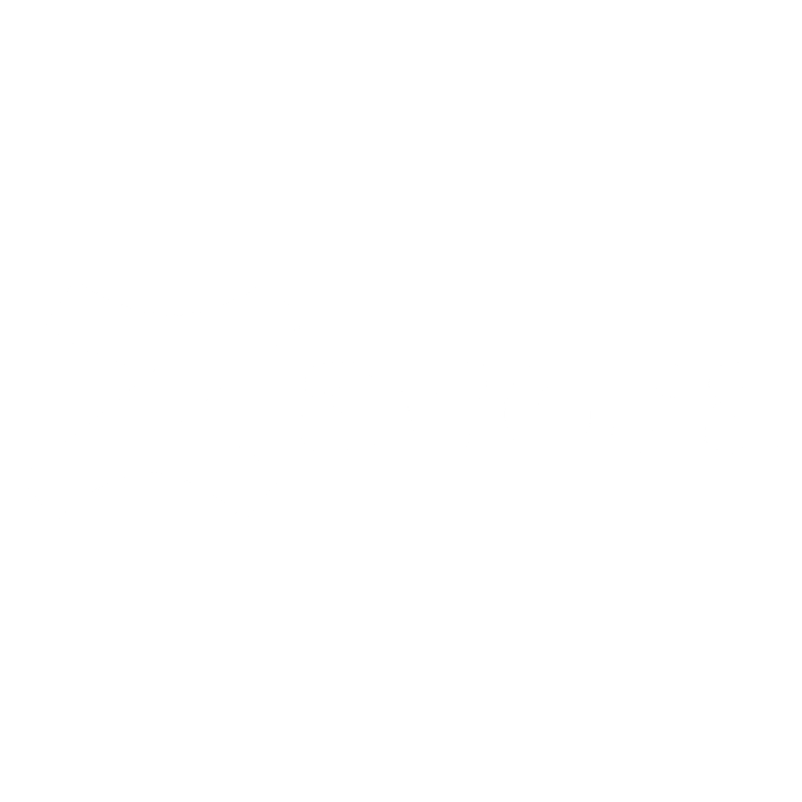 Zavora Digital Studio Logo